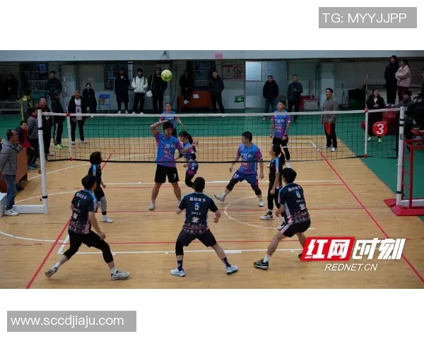 排球爱好者必看护腕选购指南及推荐品牌解析