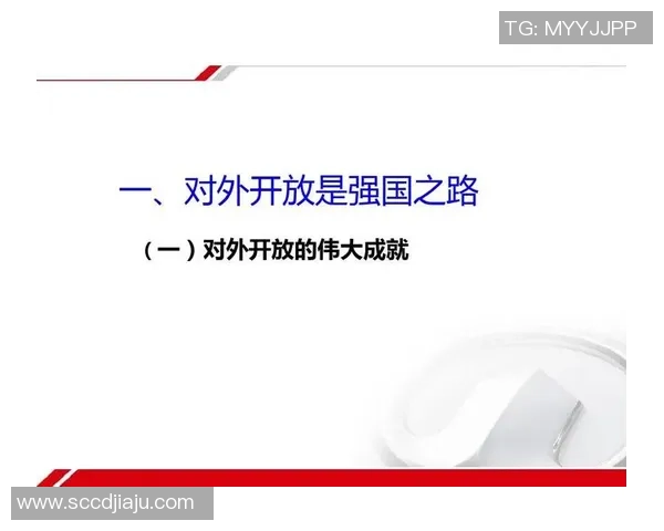 排球盛宴：深入解析杭州排球队的实力与成就之路