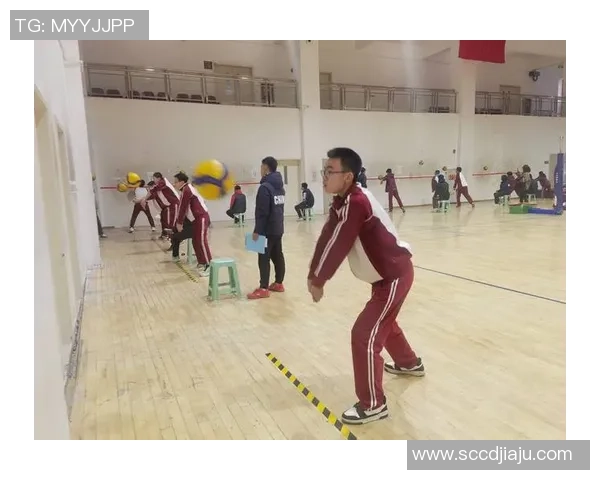 排球节奏排行榜揭晓西安排球队荣登第十名引发热议