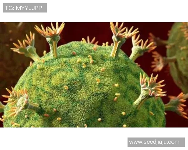 新冠疫情下崛起的足球明星们如何重塑赛场与生活的传奇故事