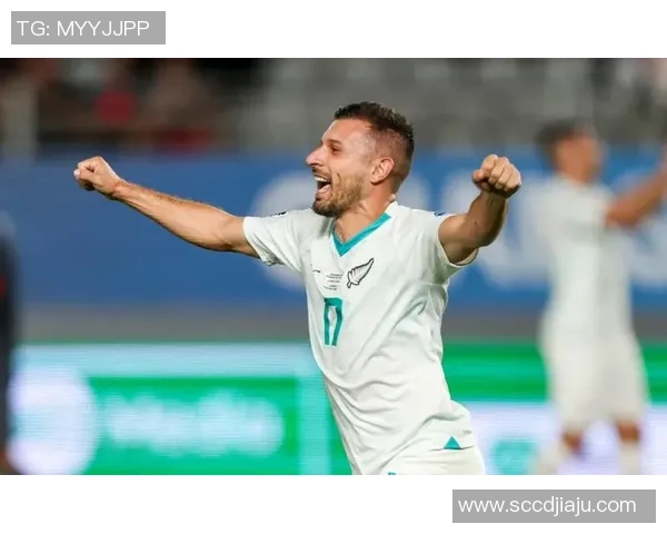 新西兰足球明星的辉煌历程与影响力探析