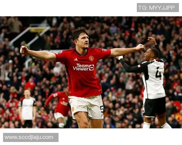 曼联足球明星的魅力与成就揭秘以及他们对球队的影响