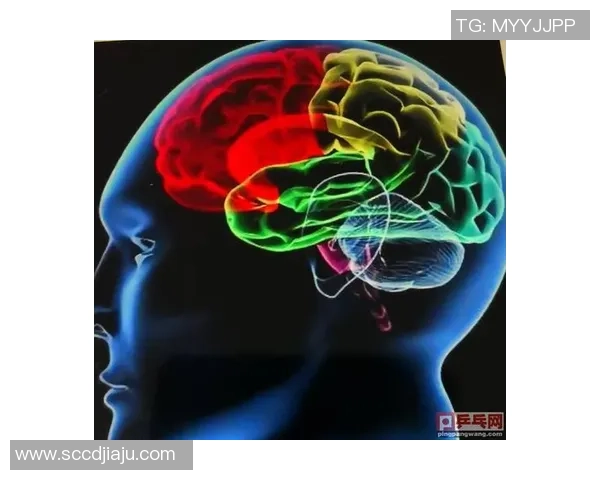 杭州乒乓球队反击战术深度解析与实战应用探讨 杭州乒乓球队反击战术深度解析与实战应用探讨