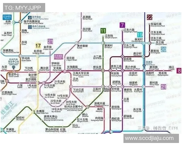 杭州与上海排球队赛后分析实力对比与未来展望