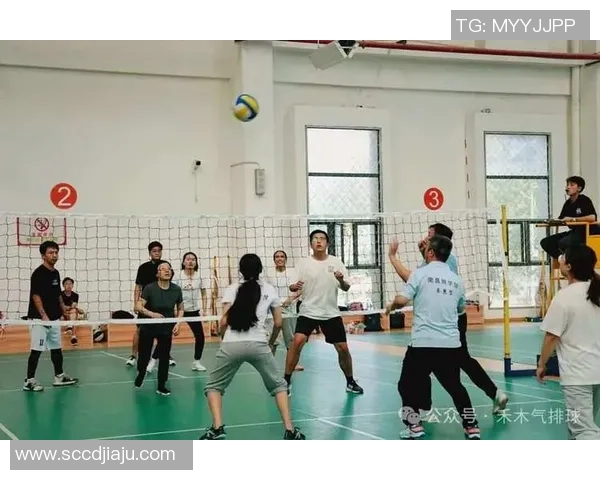 杭州世锦赛排球队技术分析与表现评估展现出新高度