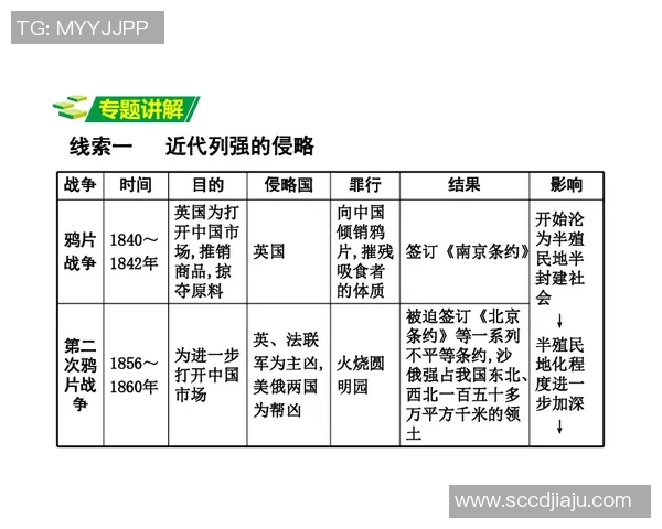 杭州排球队防反战术解析与排球热点动态探讨